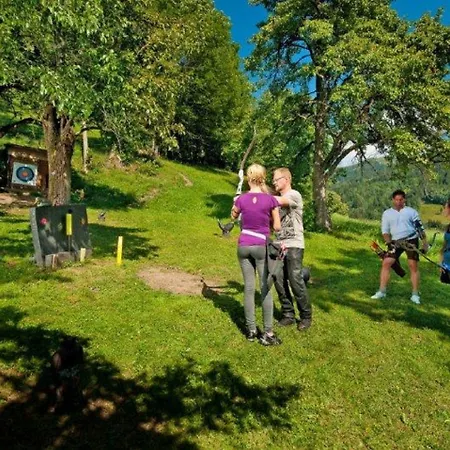 Hartlbauer Apartman Dorfgastein