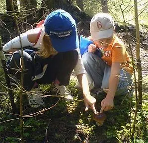 Hartlbauer Appartamento