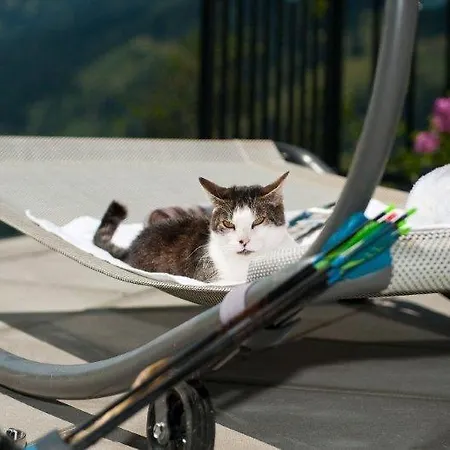 Hartlbauer * دورفغاستين