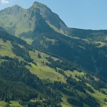 Hartlbauer Apartament