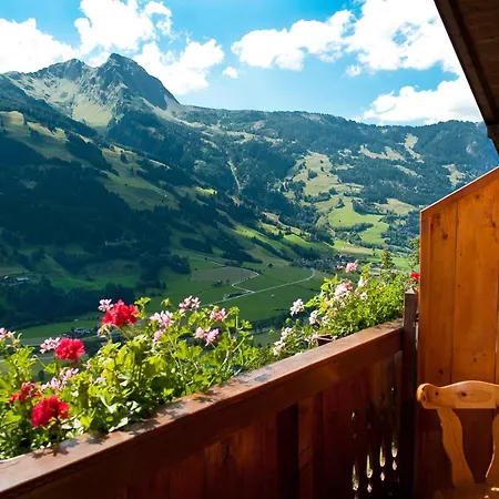 Hartlbauer Apartman *